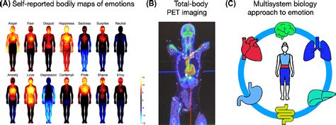 Unraveling the Emotions and Sensations Associated with Dreams of Tooth Removal