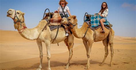 Unraveling the Enigmas of the Camel Horse Dream