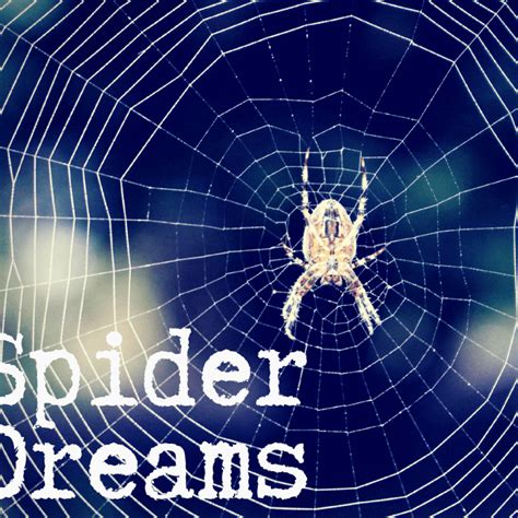 Unraveling the Meaning of Spiders in Dreams