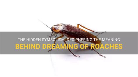 Unraveling the Mysterious Messages: Decoding the Symbolic Significance of Infant Roaches