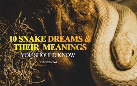 Unraveling the Mystery: Decoding the Symbolism Behind Dreams of Reptile Offspring