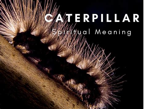 Unraveling the Spiritual Meaning of the Majestic Caterpillar