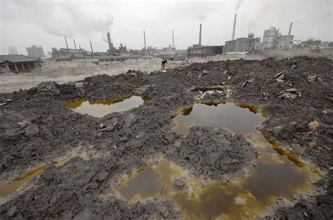 Unseen Menace: Soil Contamination Imperiling Our World