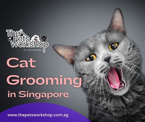 Unveiling the Cryptic Significance of Feline Grooming