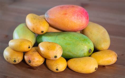 Unveiling the Diversity: Exploring Different Types of Mangos