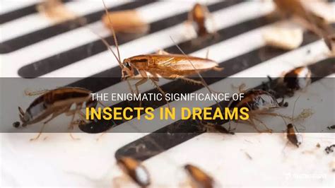 Unveiling the Enigmatic Significance behind Dreams of Insect Infestation