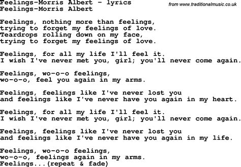 Unveiling the Feelings Encapsulated in the Song's Translated Lyrics