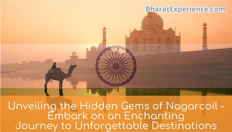 Unveiling the Hidden Gems Along the Enchanting Path
