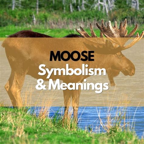 Unveiling the Hidden Meanings Behind Moose Symbolism