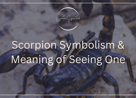 Unveiling the Hidden Messages: Exploring the Significance of Capturing Scorpions