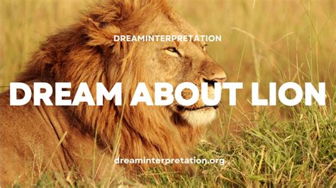 Unveiling the Hidden Messages: Interpreting Dreams of Lion Attacks