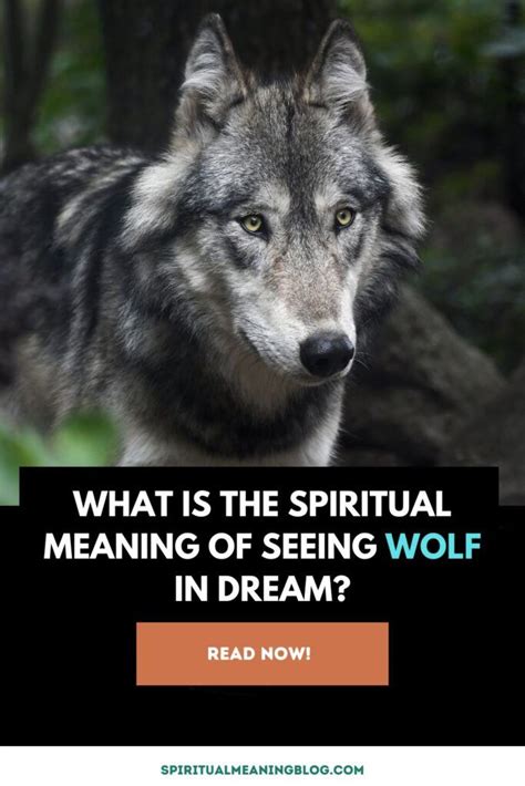 Unveiling the Hidden Messages in Encountering a Wolf in Dreams