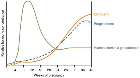 Unveiling the Impact of Hormonal Changes on Dream Patterns throughout the Maternal Journey