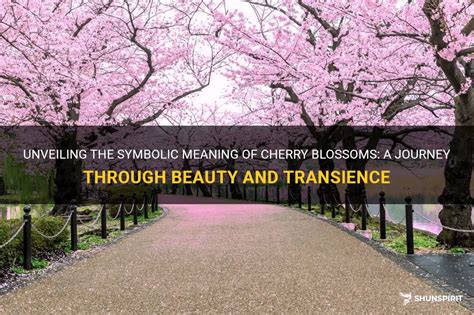 Unveiling the Meanings and Importance of Blossoms from the Fruitful Tree