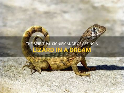 Unveiling the Message: Spiritual and Psychological Significance of Dreams Involving a Lizard Landing on the Crown