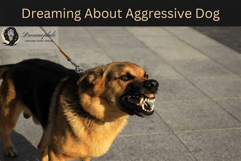 Unveiling the Message: What Dreams About Canine Toxins Could Be Telling You