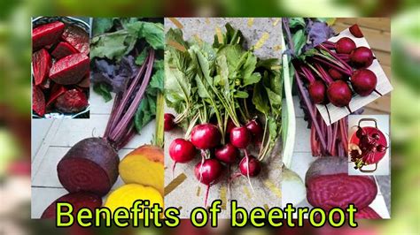 Unveiling the Nutritional Powerhouse of Beetroot