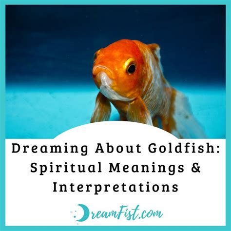 Unveiling the Possible Spiritual Meanings of Dreaming About Toilet Goldfish