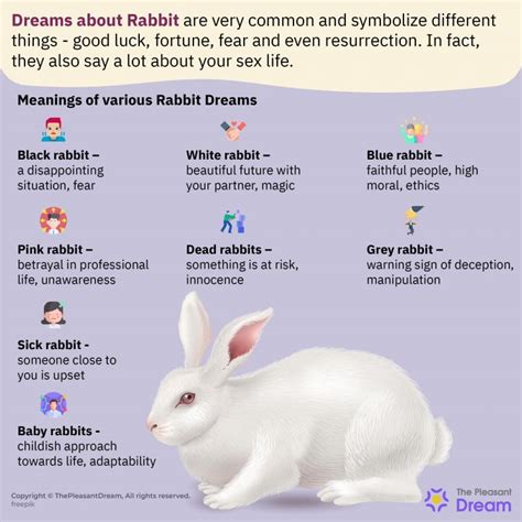 Unveiling the Profound Significance of Dreaming about a Departed Rabbit