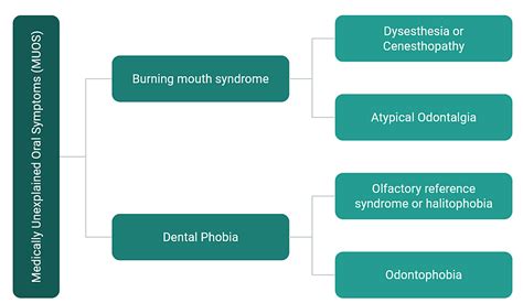 Unveiling the Psychological Importance of Leeches in Oral Experiences