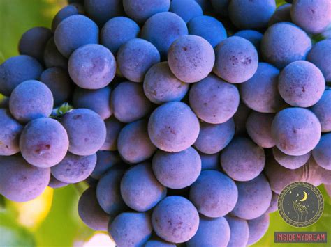 Unveiling the Psychological Significance of Grape Dreams