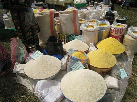 Unveiling the Secret Behind Nigeria's Beloved Staple: Exploring the Enigmatic World of Garri