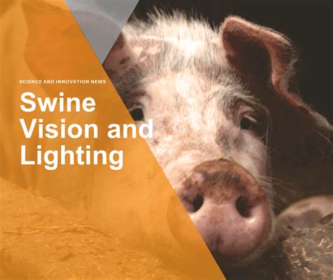 Unveiling the Secret Longings Behind the Vision of Receiving a Swine