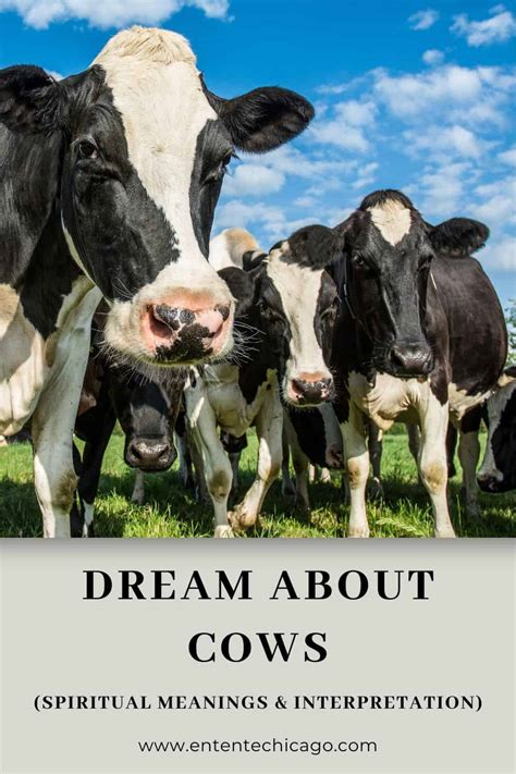 Unveiling the Secret Messages of a Dream about Cow Kicking