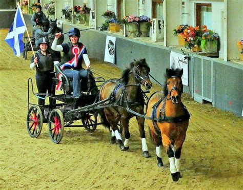 Unveiling the Secrets of Successful Carriage Driving Competitions