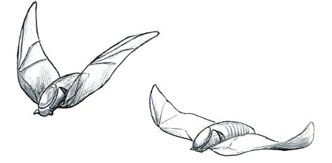 Unveiling the Significance: Exploring the Symbolic Aspects of Lifeless Ivory Chiroptera