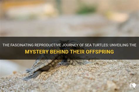 Unveiling the Significance Behind the Offspring of Creatures