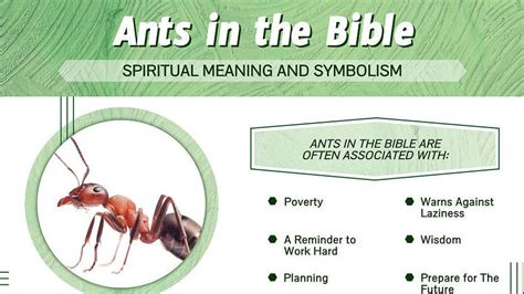 Unveiling the Significance of Ants Emerging from the Human Form