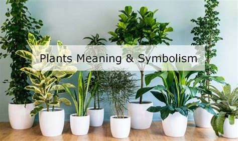 Unveiling the Significance of Plant Devastation as a Symbol