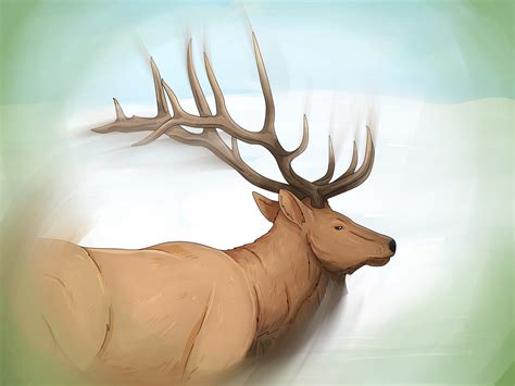 Unveiling the Significance of the Brawl Between Majestic Stags: Exploring Twilight Fantasies and Symbolic Implications