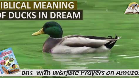 Unveiling the Spiritual Significance of Duck Dreams