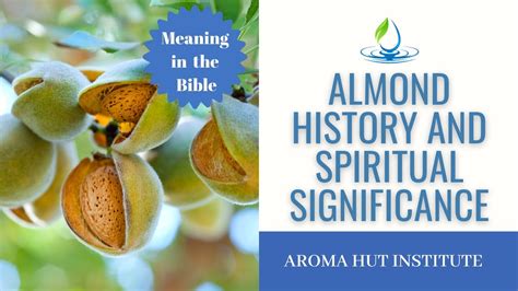 Unveiling the Spiritual Significance of the Lush Almond