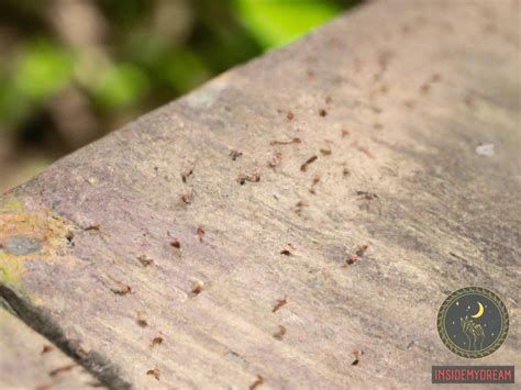 Unveiling the Symbolic Meaning of Ant Bites in Dreams