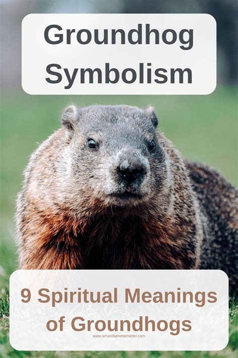 Unveiling the Symbolic Meaning of Dreaming about Groundhogs