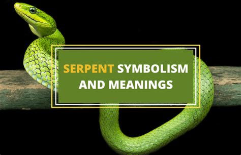 Unveiling the Symbolism: What Do Tiny Serpents Signify in Dreams?