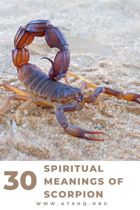 Unveiling the Symbolism Behind a Tiny Scorpio