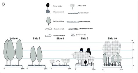 Unveiling the Symbolism Behind an Ethereal Arboreal Structure