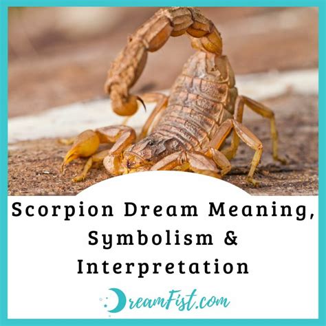 Unveiling the Symbolism of Scorpions in the Realm of Dream Interpretation