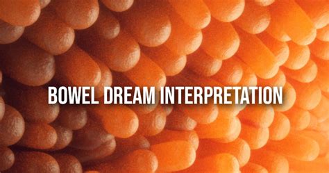 Unveiling the Symbolism of the Colon in Dream Interpretation