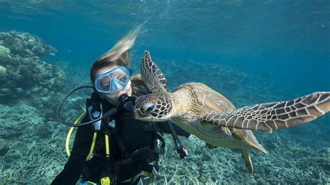 Unveiling the Wonders of Marine Life