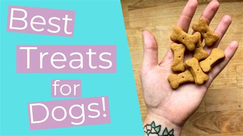 Use Gentle Techniques and Reward with Treats