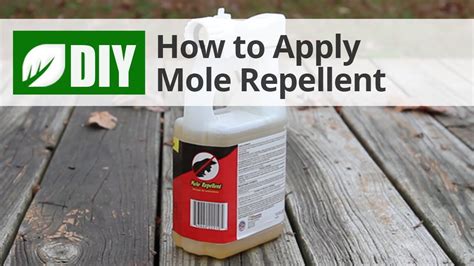 Using Repellents to Discourage Moles