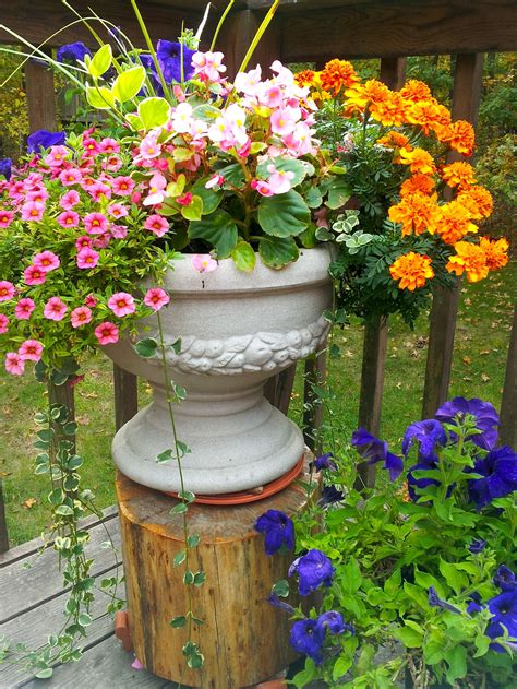 Various Options: Deciding on the Ideal Flower Pot