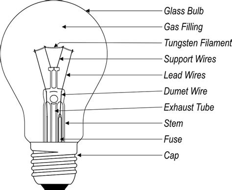 Verifying the Functionality of the New Bulb