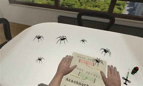 Virtual Reality as a Tool for Arachnophobia Treatment: Stepping into a Spider-Free World