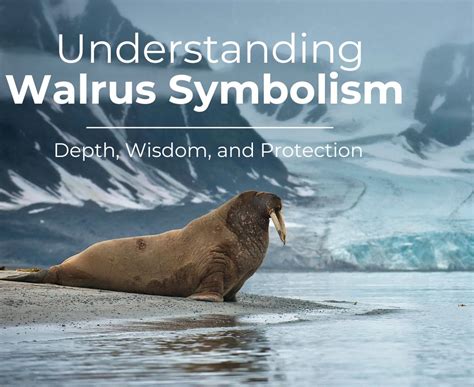 Walrus Symbolism in Different Cultures and Mythologies